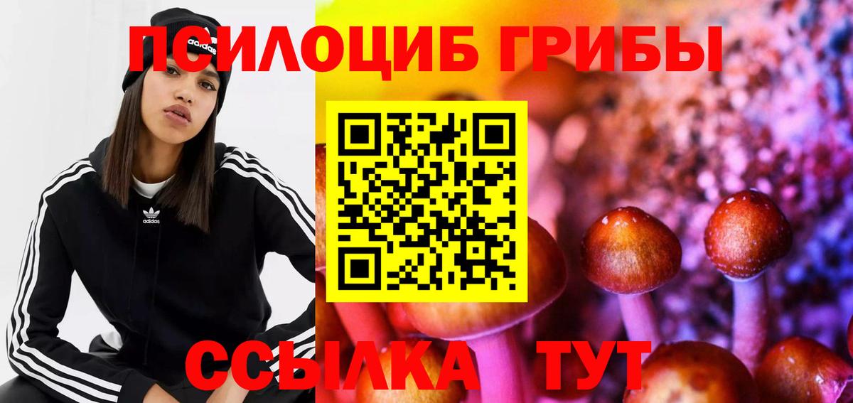 Галлюциногенные грибы мухоморы Бузулук