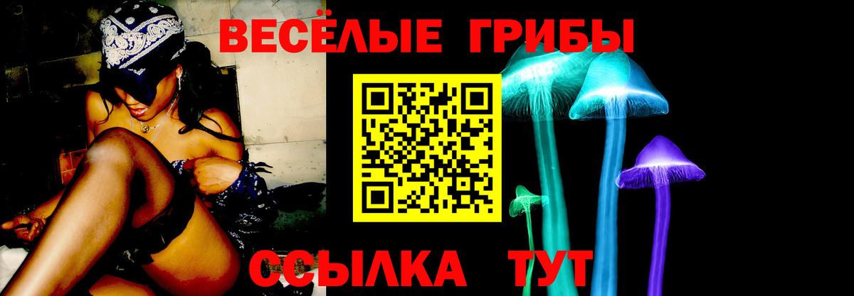 Бузулук  Псилоцибиновые грибы GOLDEN TEACHER  Вход с VPN 